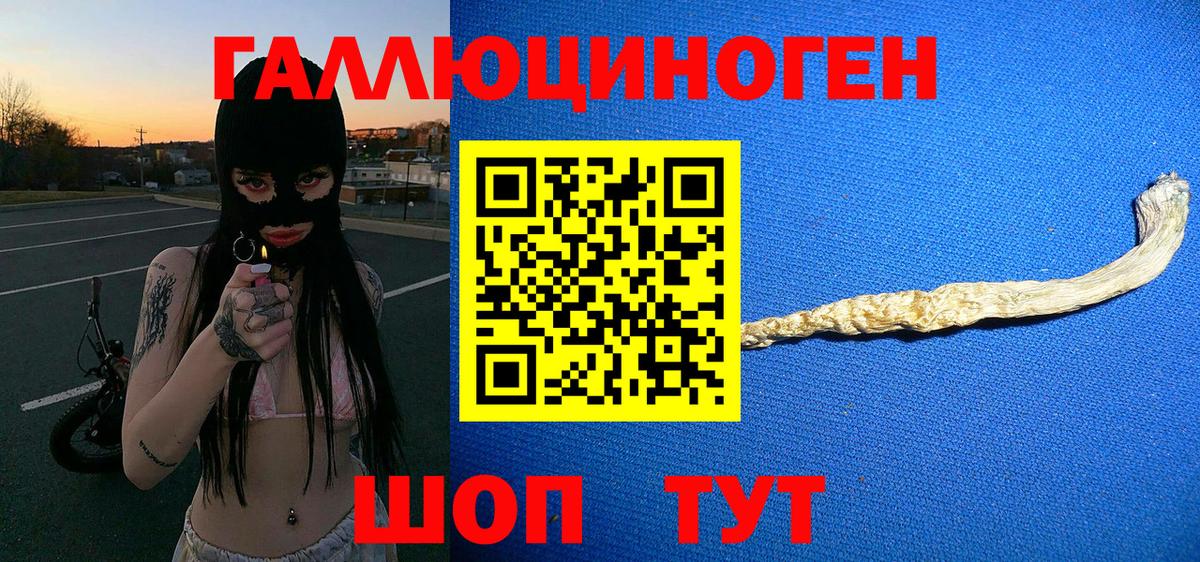 Галлюциногенные грибы MAGIC MUSHROOMS  купить  цена  Волоколамск  Вход с VPN 